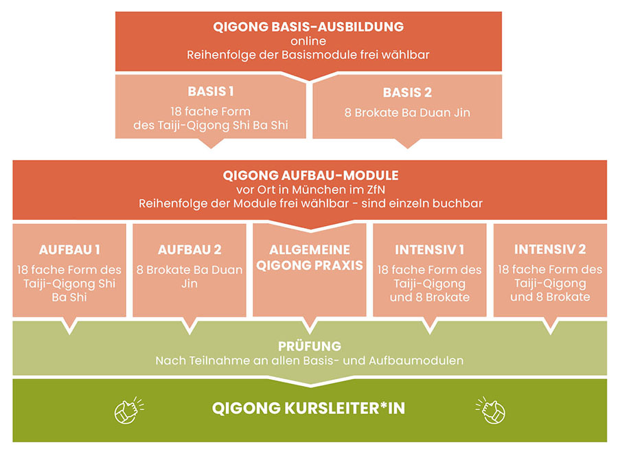 Qigong Kursleiter Grafik Module